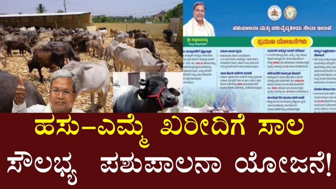ಪಶುಪಾಲನಾ ಸಾಲ ಯೋಜನೆ 2025